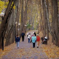 Прогулка по парку с осенью. :: Татьяна Помогалова