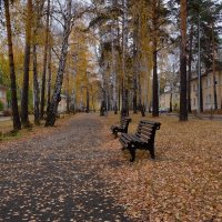 Осень в городе :: Sergey Sapozhnikov