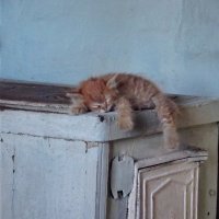 Малыш спит на теплой печи :: Светлана Рябова-Шатунова