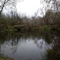 Река :: Николай Филоненко 