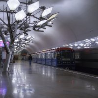 Станция "Тропарево" :: Марина Назарова