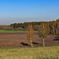 Latvia 2018 Autumn in Sigulda 15 :: Arturs Ancans
