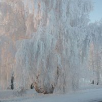 Снег :: Вадим Ивлев