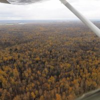 Краски осеннего леса :: Евгений Седов
