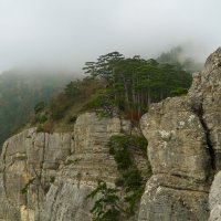 Боткинская тропа. Ялта. :: Павел © Смирнов