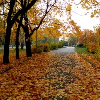 НА  ДЕРЕВЬЯХ  ЛИСТЬЕВ  МАЛО, НА  ЗЕМЛЕ - НЕВПРОВОРОТ... :: Галина 