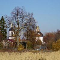 Краски Октября :: Галина Лубянникова 