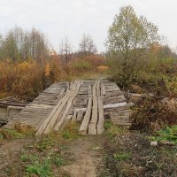 "Самопальный" мосток в лес :: Виталий Селиванов 