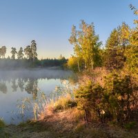 Лесное озеро. :: Александр Тулупов