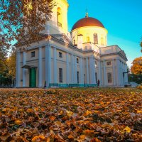 Осень в парке :: Виктор 