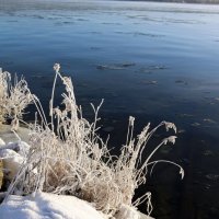 Серебряное утро :: Ольга 