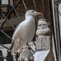 Venezia. Al mercato di Rialto. :: Игорь Олегович Кравченко