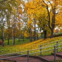 Прогулка по осеннему городу (53) :: Виталий 