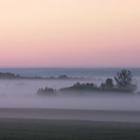 Сиреневый туман :: Геннадий Новов