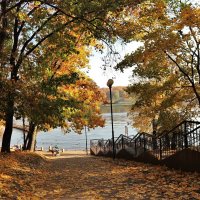 "Листья желтые над городом кружатся..." :: Людмила 