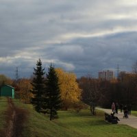 Осень в парке :: Людмила Монахова