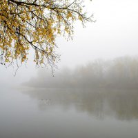 Туман над рекой :: Сергей Тарабара