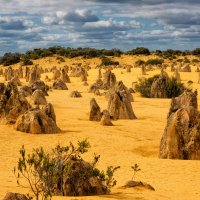 Pinnacles Desert :: slavado 