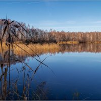 *** :: Андрей Дворников