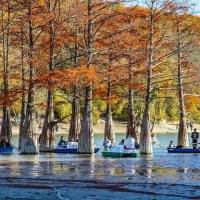 Осень на Кипарисовом озере :: Ольга Решетникова