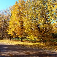 Осенние мотивы. :: Владимир Драгунский