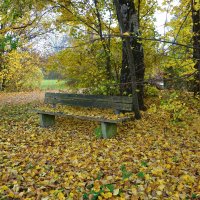 Листопад, листопад, Листья желтые летят.... :: Galina Dzubina