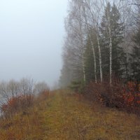 Осень туманная :: Елена Якушина