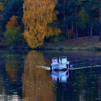 Рассекая водную гладь в вечерней тишине... :: Ольга Русанова (olg-rusanowa2010)