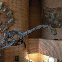 Музей палеонтологии Москва :: юрий макаров