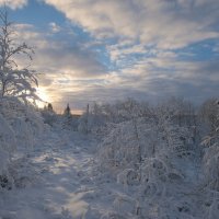 Зима пришла !!! :: Олег Кулябин