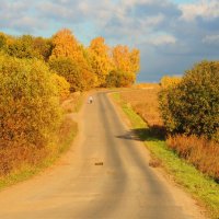 Дорога в рыжую осень :: Вячеслав Маслов