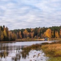 *** :: Владимир Безбородов