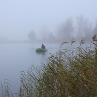 осенним днем :: Владимир Зеленцов