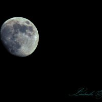 Луна :: liudmila Barabanova