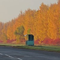 Золотая осень( Забытая  остановка) :: Виталий Селиванов 