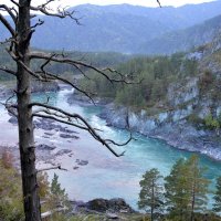 Слияние двух рек- Катуни и Чемала :: Вера Андреева