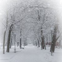 Зима. :: Игорь Яшник