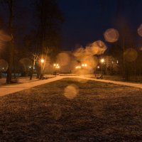 Первый снег в вечернем парке. :: Виктор Евстратов