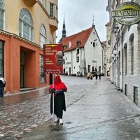 Прогулки по  старому Таллину :: veera v
