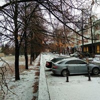 Первый снег :: Татьяна Котельникова