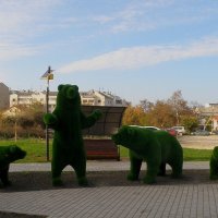 Зелёные медведи :: Александр Рыжов