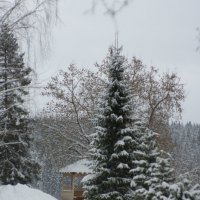 Зима :: Алексей Екимовских