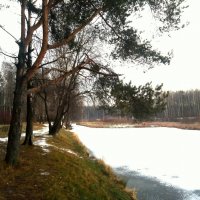 Замерзает река и от холода вся обрастает белым снегом и льдинками зыбкими :: Елена Павлова (Смолова)
