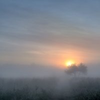 В рассветном тумане... :: Андрей Войцехов