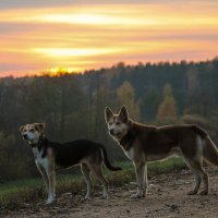 С подружкой :: Елена Верховская