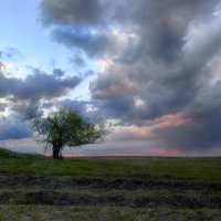 Одиночество :: Александр Гурьянов