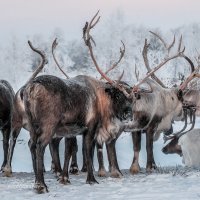 Обернись, незнакомый прохожий... :: Yuri Mekhonoshin