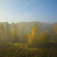 Золотая осень. :: Анатолий 71 Зверев