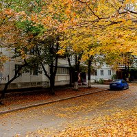 Осень во дворе :: Владимир Кроливец