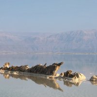 Мертвое море :: Михаил Янкин